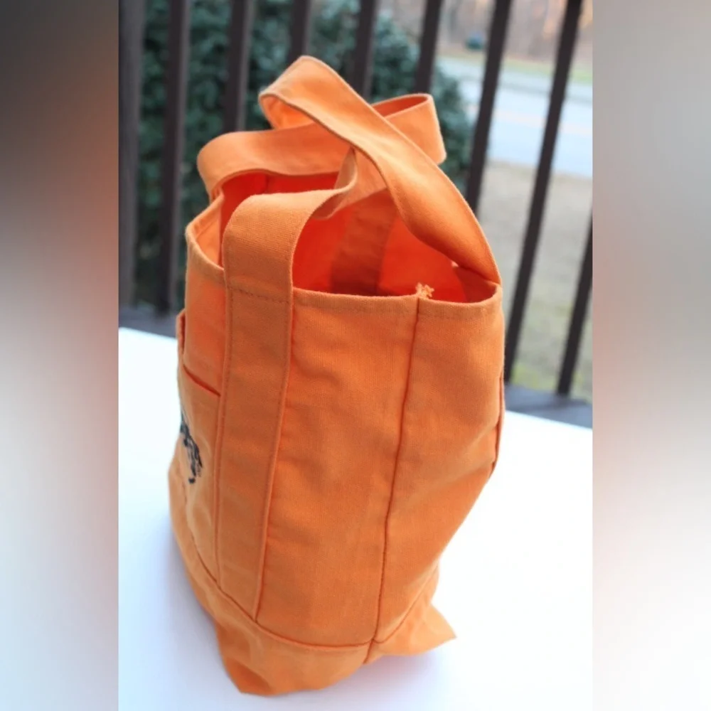 Trader Joe's Halloween mini canvas tote bag